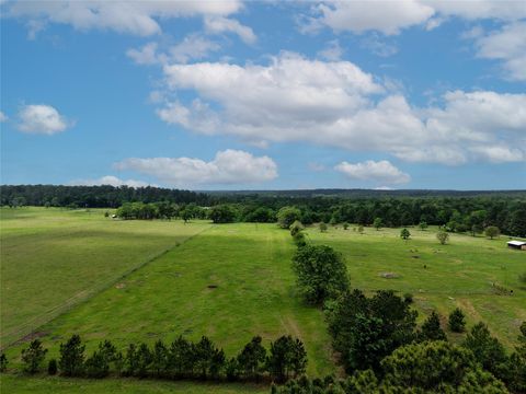 Photo of TBD Fm 1791 Road, Richards, TX 77873 (MLS # 82180769)