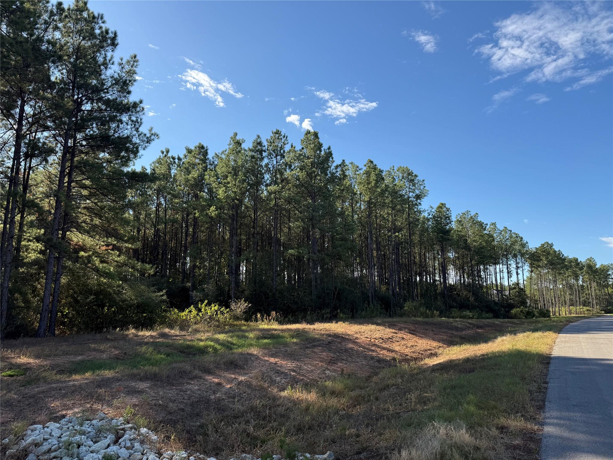 15895 Ridge Oak Road