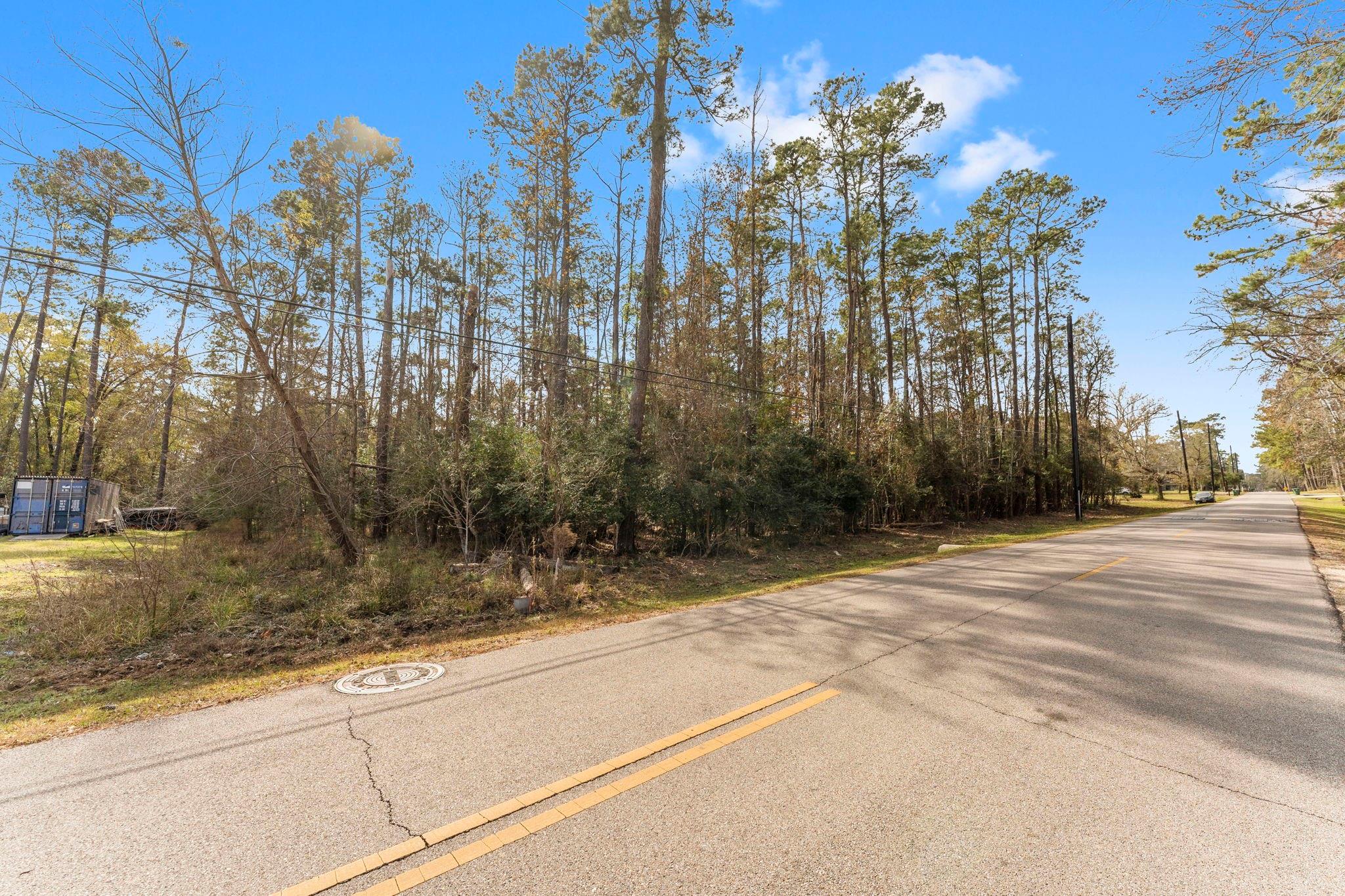 0 Magnolia Point Drive