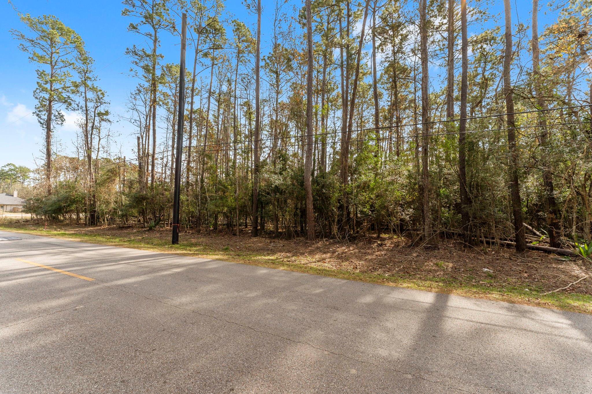 0 Magnolia Point Drive