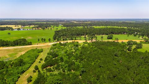 Tiny photo for tbd Cr 306, Navasota, TX 77868 (MLS # 15248669)