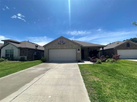 Photo of 20710 Southern Woods Drive, New Caney, TX 77357 (MLS # 10386941)