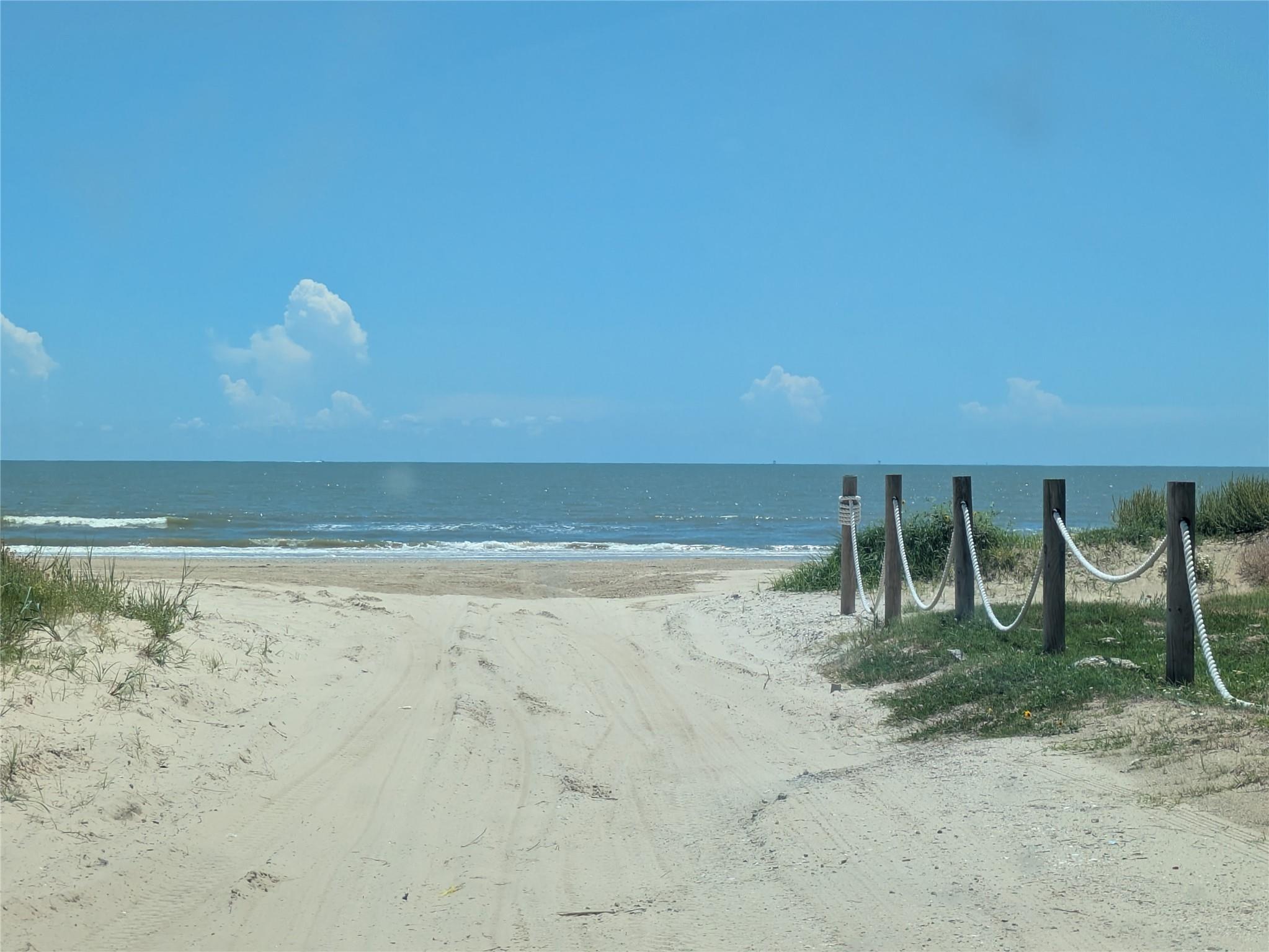 322 Seagrass