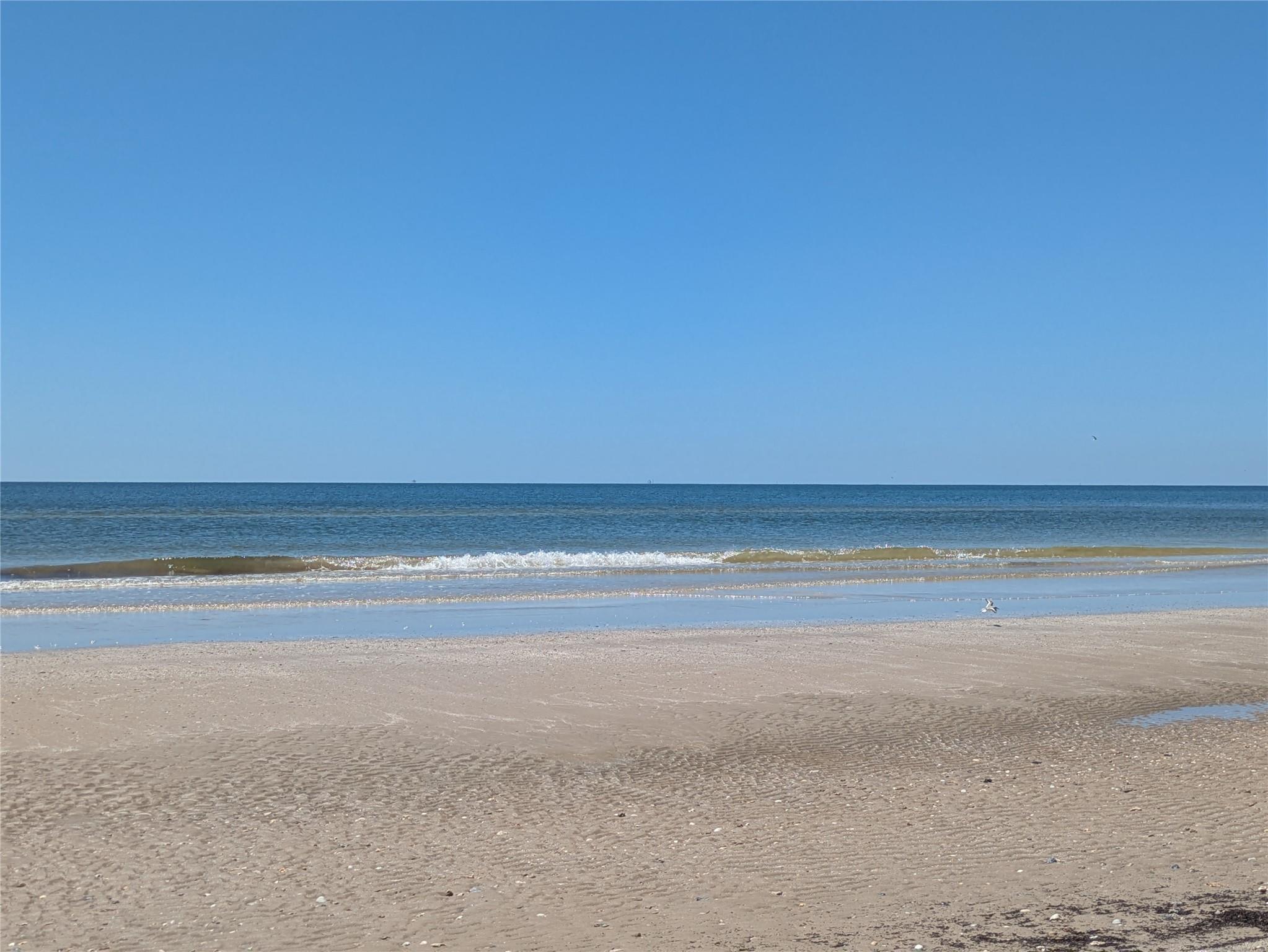 322 Seagrass