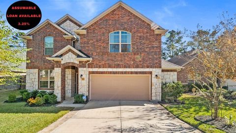 216 Elianne Lace Court Conroe TX 77318