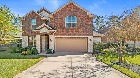 216 Elianne Lace Court Conroe TX 77318