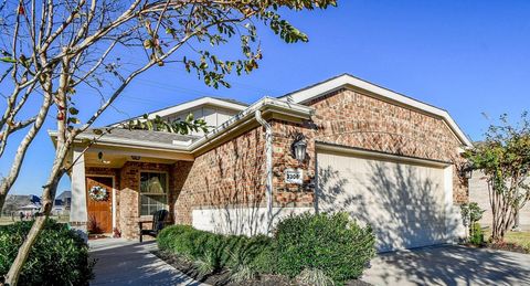 3306 Golden Eagle Way Richmond TX 77469