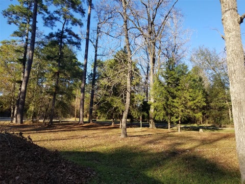 Vacant Land For Sale - TBD Acorn<br/> Livingston, TX 77351