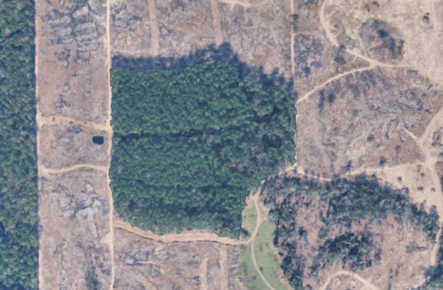 TBD Morgan Cemetary Rd