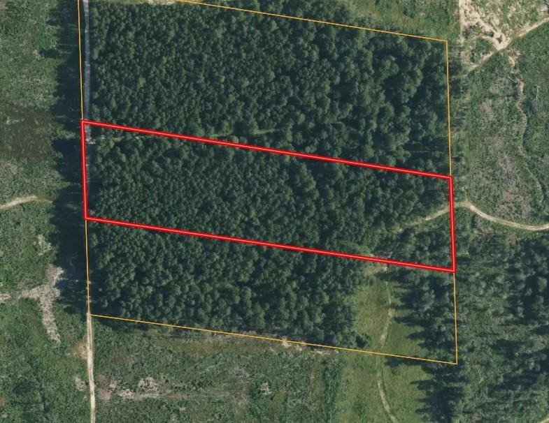 TBD Morgan Cemetary Rd