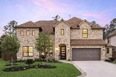 141 Bronze Bow Drive Montgomery TX 77316