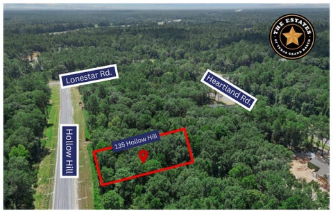 Photo of 135 Hollow Hill Drive, New Waverly, TX 77358 (MLS # 70892575)