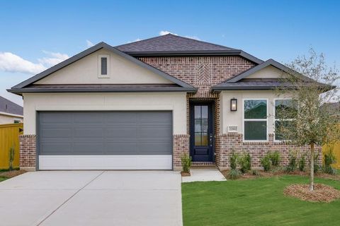 Homes For Sale - 22002 Sam Raburn Drive<br/> Tomball, TX 77375