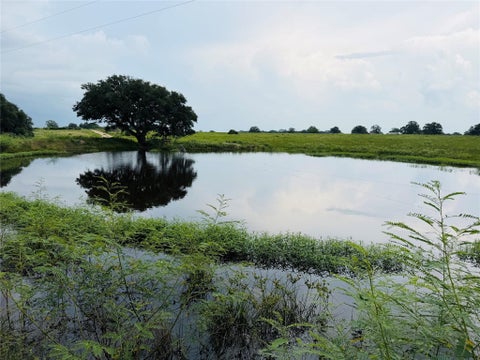 Photo of 10309 Cr 1, Hallettsville, TX 77964 (MLS # 79564161)