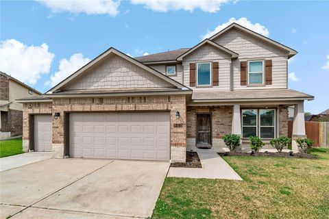 29 Coconut Palms Court Manvel TX 77578