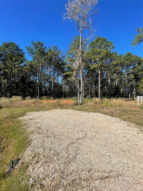 11303 Annie Creek Drive Willis TX 77378