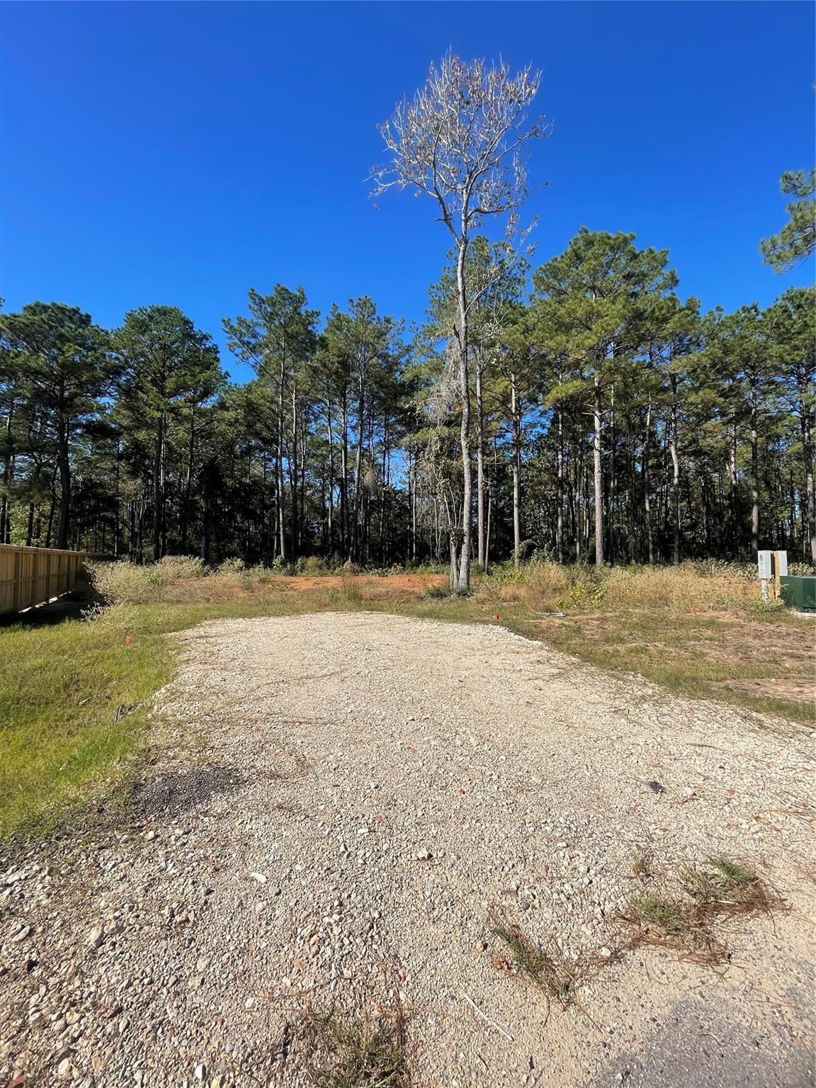 11303 Annie Creek Drive