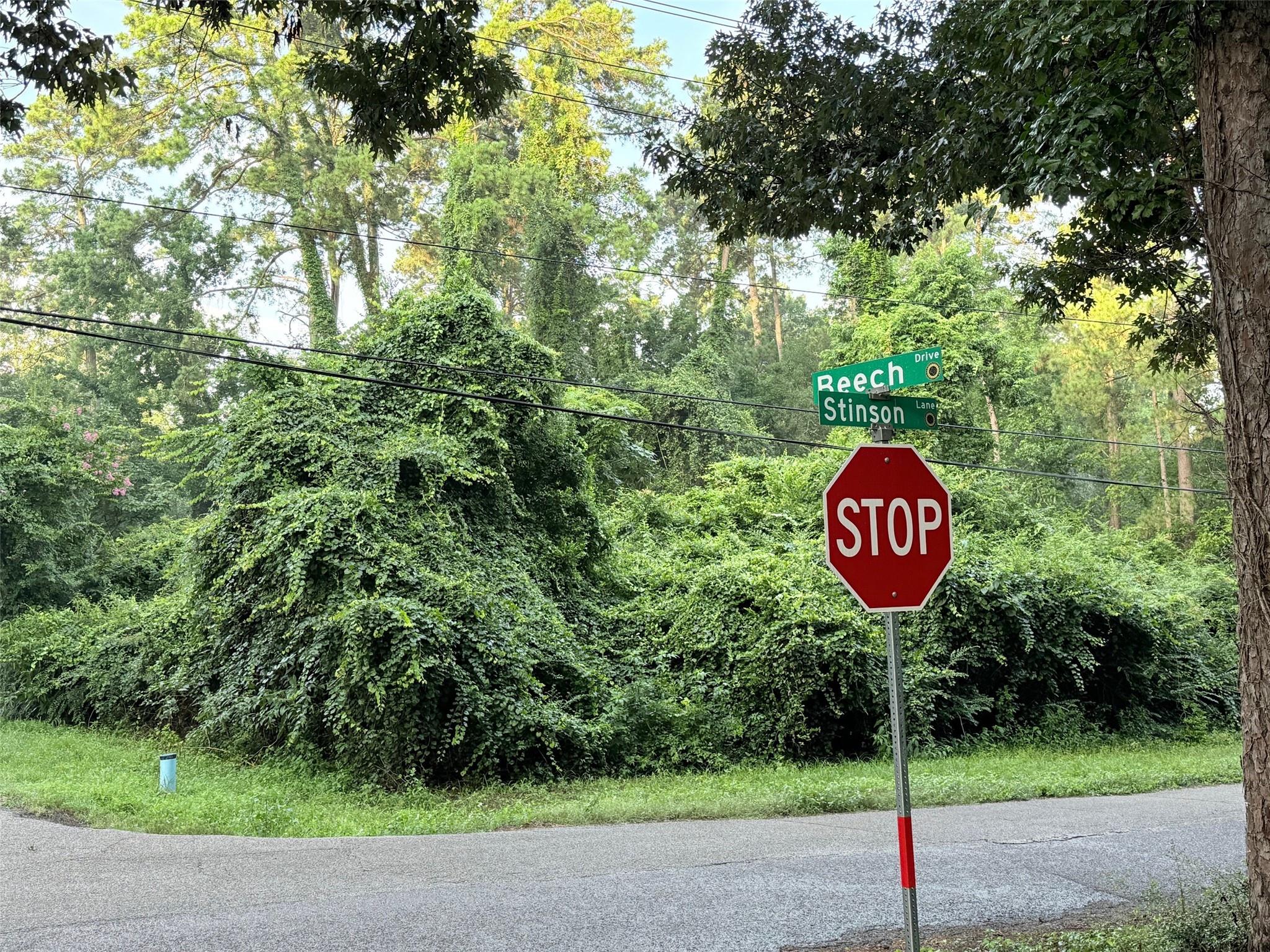 TBD Beech Drive