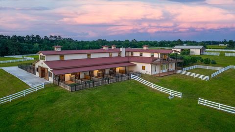 Photo of 23981 Old Dobbin Plantersville Road, Montgomery, TX 77316 (MLS # 17957126)