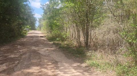 Vacant Land For Sale - LOT 8 Yupon Lane<br/> Plantersville, TX 77363