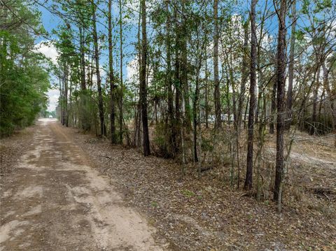 Lot 12 Mayhaw Lane Plantersville TX 77363
