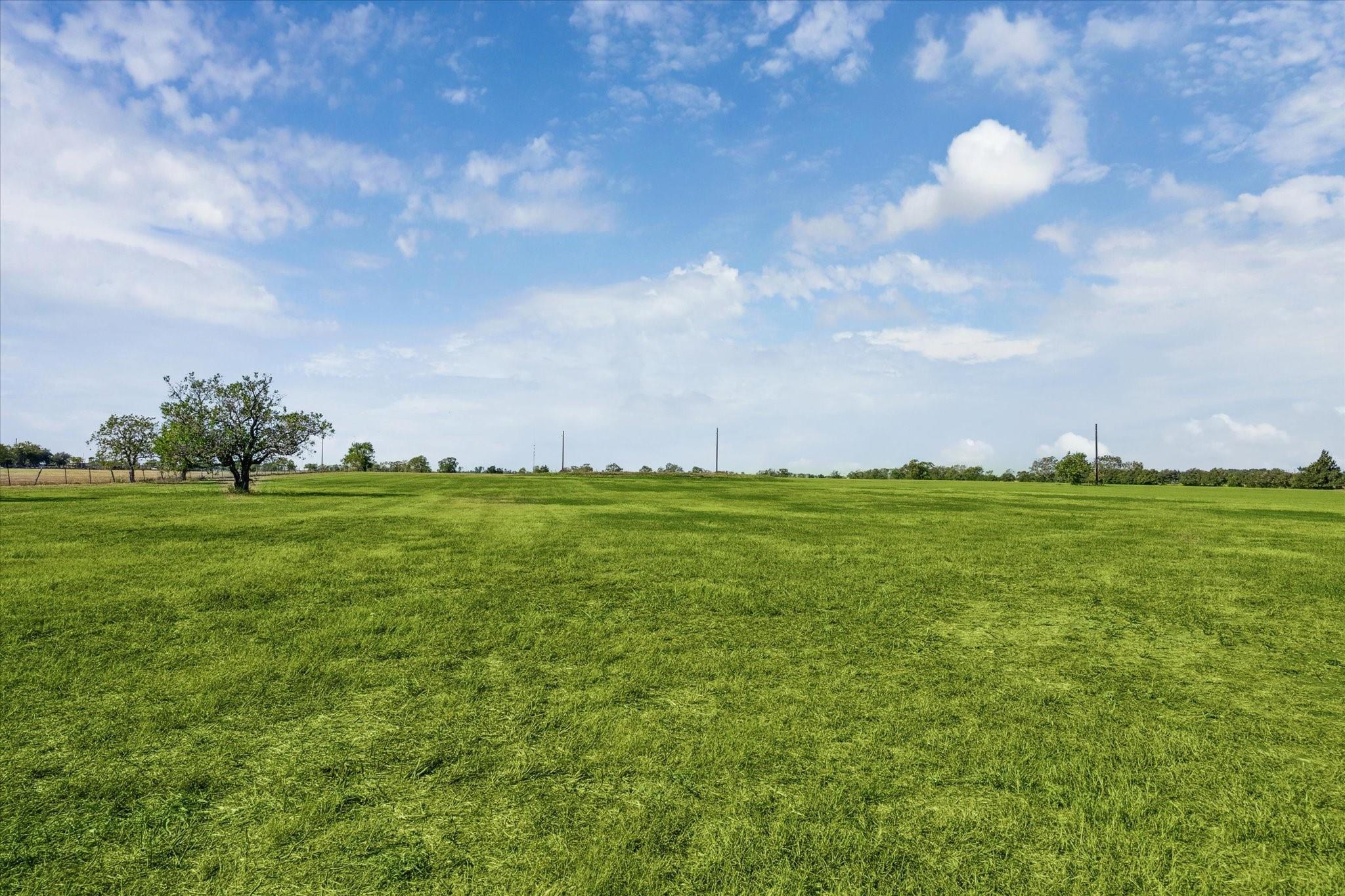 0000 Farm To Market 2187