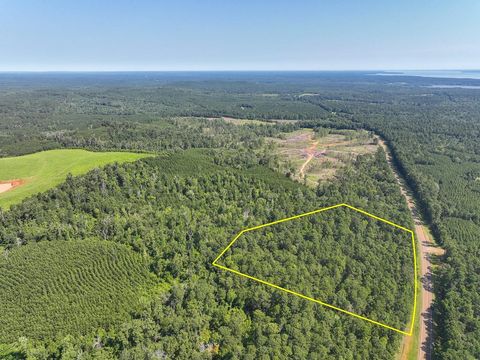 Vacant Land For Sale - 01 Highway 87<br/> Sabine County, Milam, TX 75959