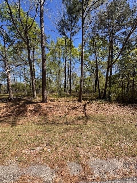 Vacant Land For Sale - 90 S Pine Harbour Drive<br/> Coldspring, TX 77331