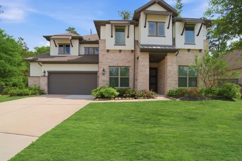 Photo of 238 Liatris Court, Conroe, TX 77304 (MLS # 5098371)