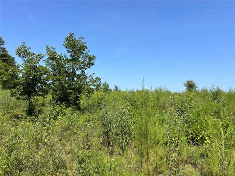 Photo of 14 Upper Leggett Road, Leggett, TX 77350 (MLS # 46297696)