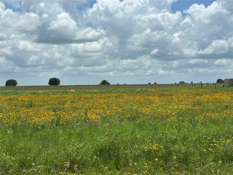 Photo of 2995 Meier Road S, Sealy, TX 77474 (MLS # 35090971)