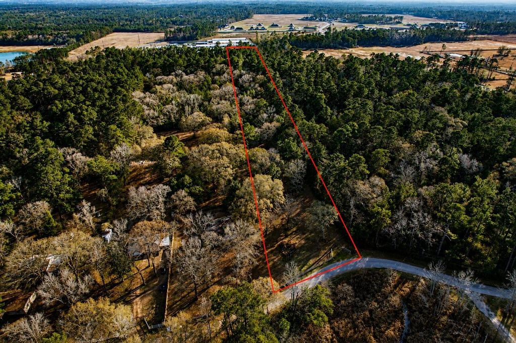 Photo of 17038 Payne Rd Rd, Conroe, TX 77302 (MLS # 64413402)