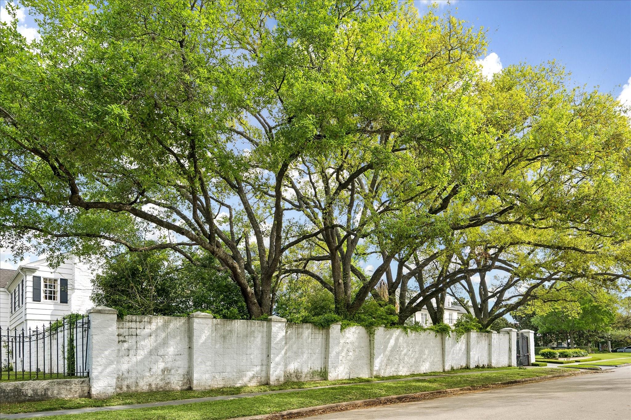 1811 Kirby Drive