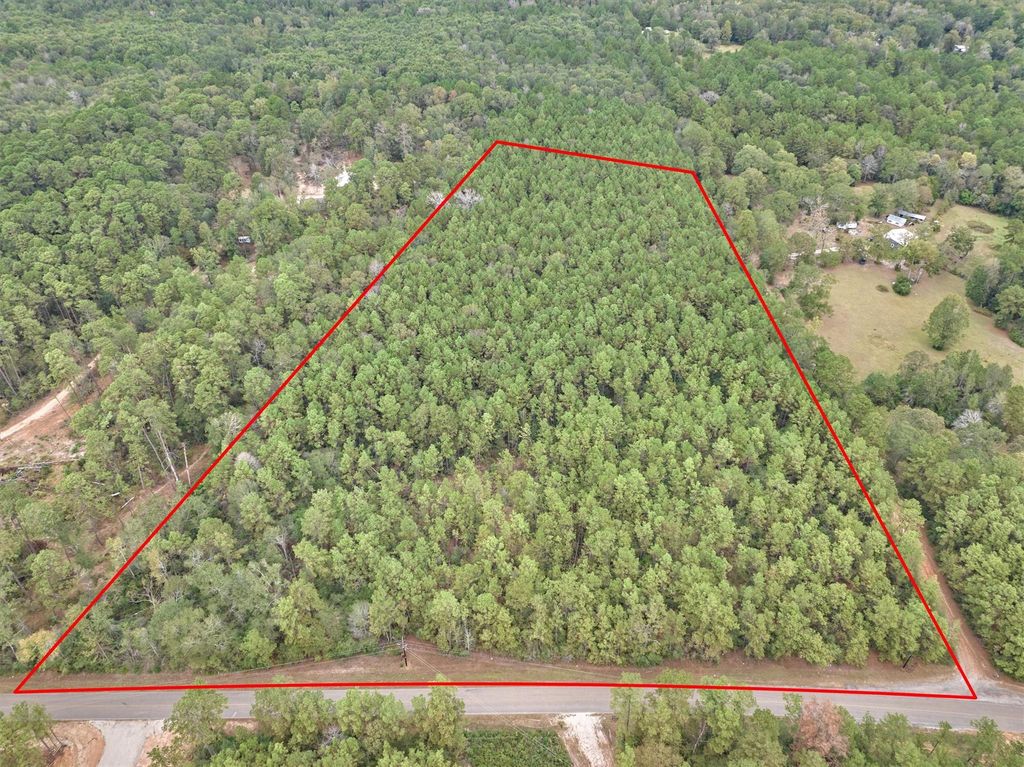 Photo of 0 E Williams Road, Conroe, TX 77303 (MLS # 19159148)