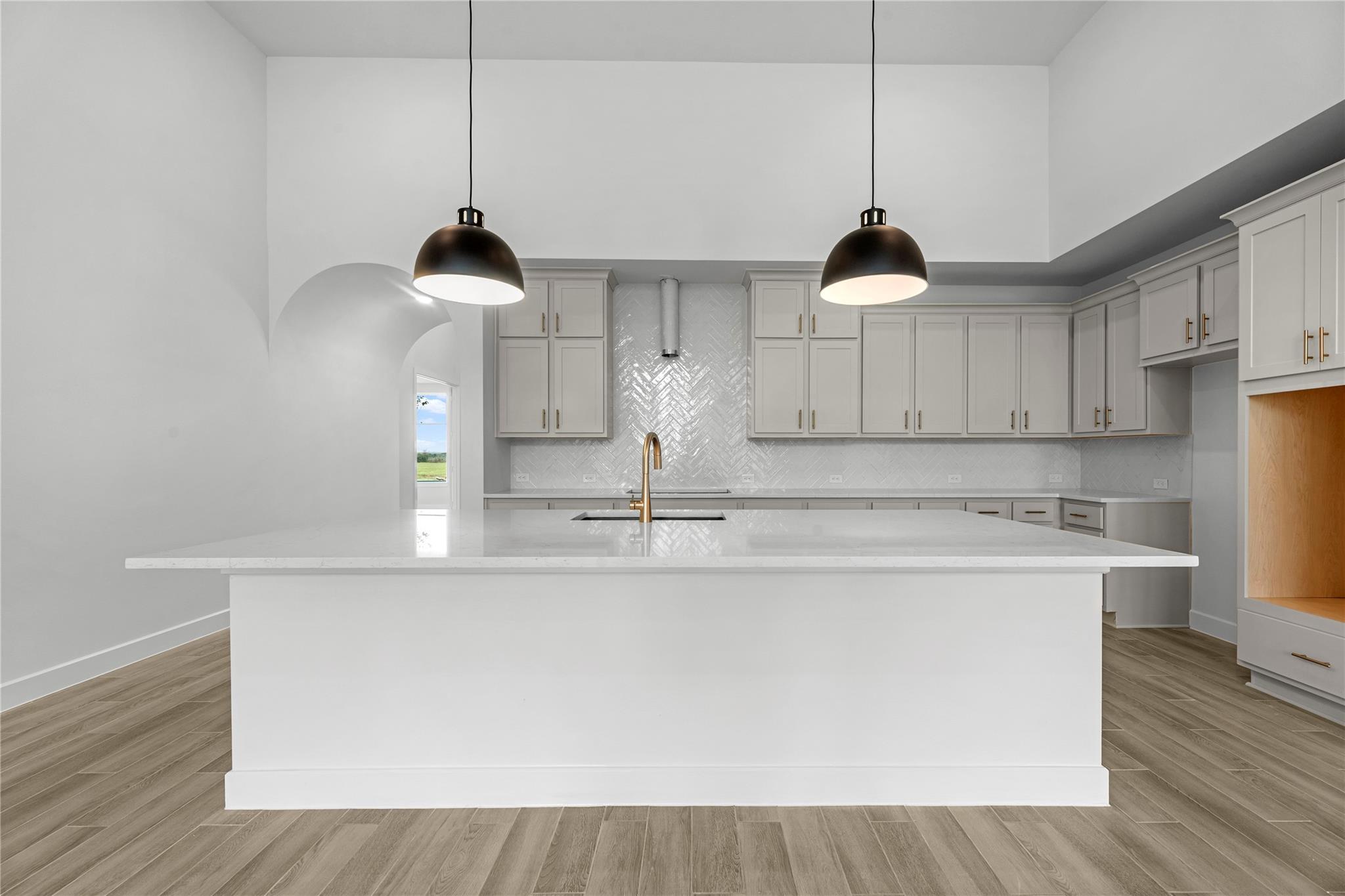 16246 Blue Mistflower Lane