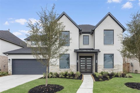 16246 Blue Mistflower Lane Hockley TX 77447