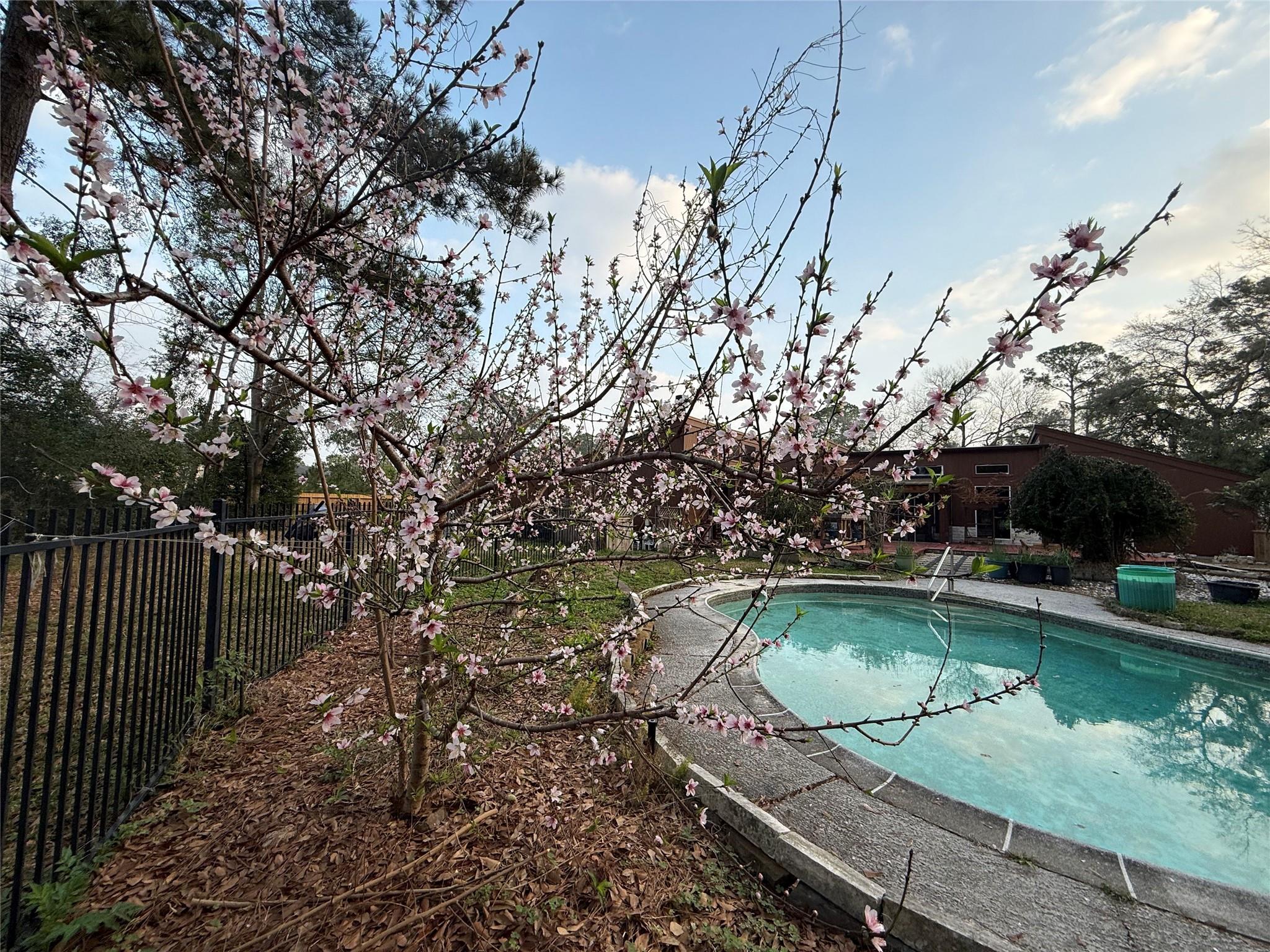 801 Holly Ridge Drive