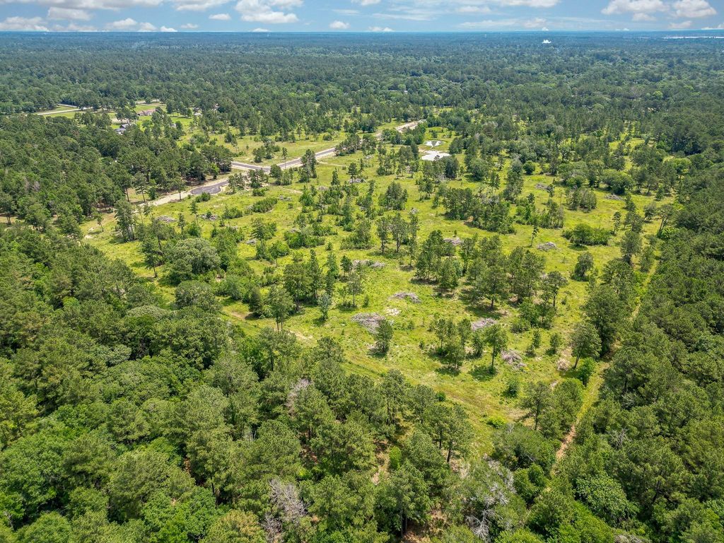 Photo of 31839 Boone Road, Waller, TX 77484 (MLS # 67461496)