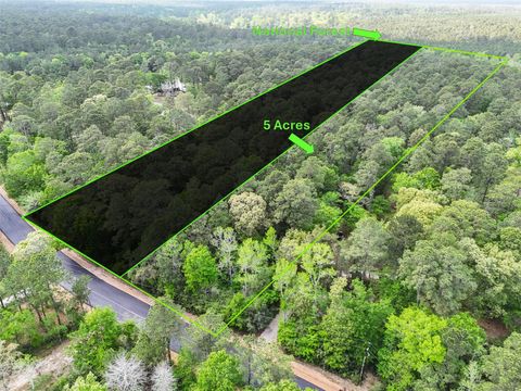 Photo of 19280 Mount Pleasant Road, Montgomery, TX 77356 (MLS # 44696986)