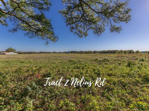 Tract 2 Nelius Road Bellville TX 77418