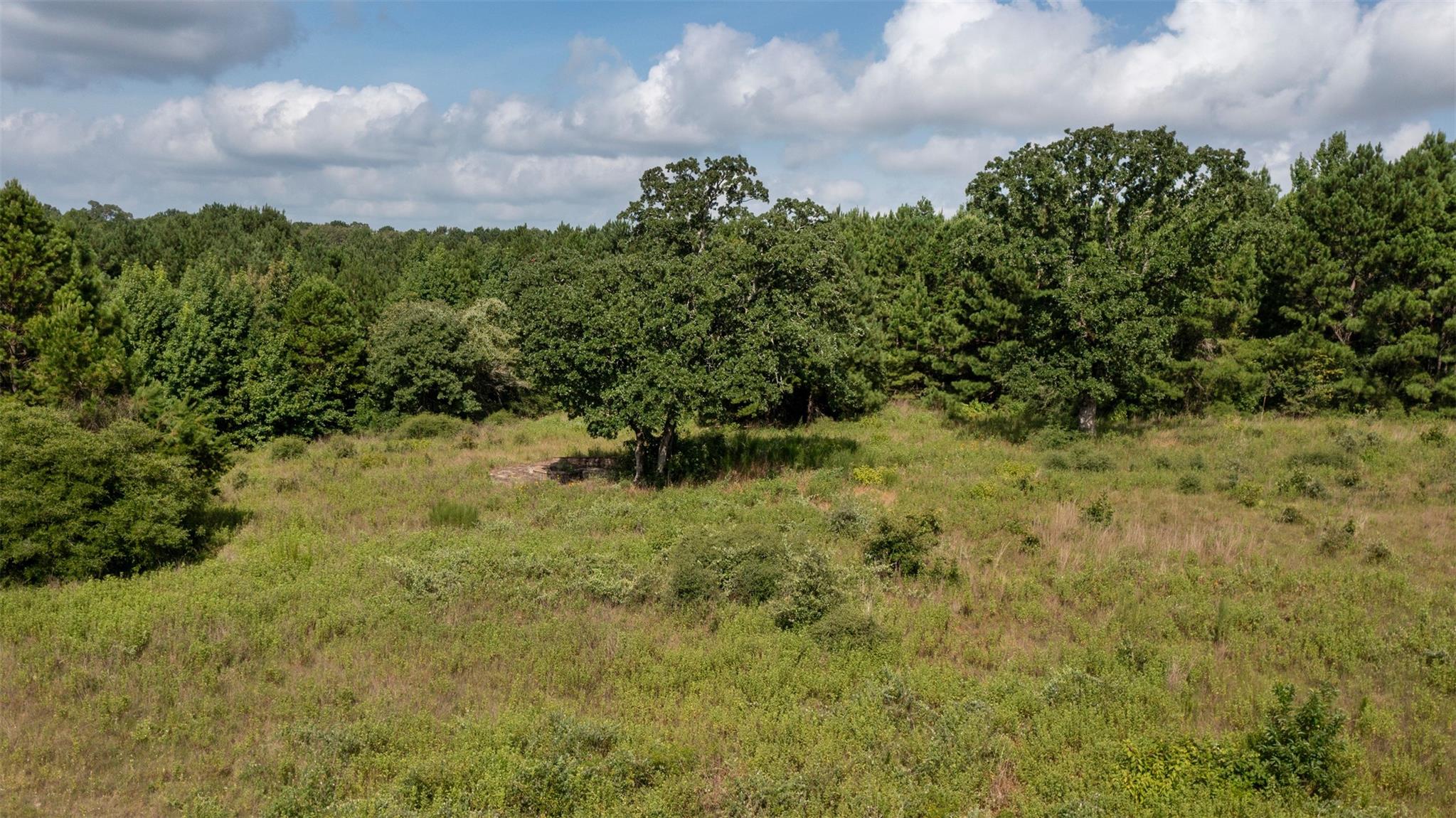 0 Vineyard View Trail