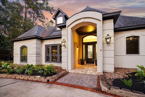 19 Grogans Point Court The Woodlands TX 77380