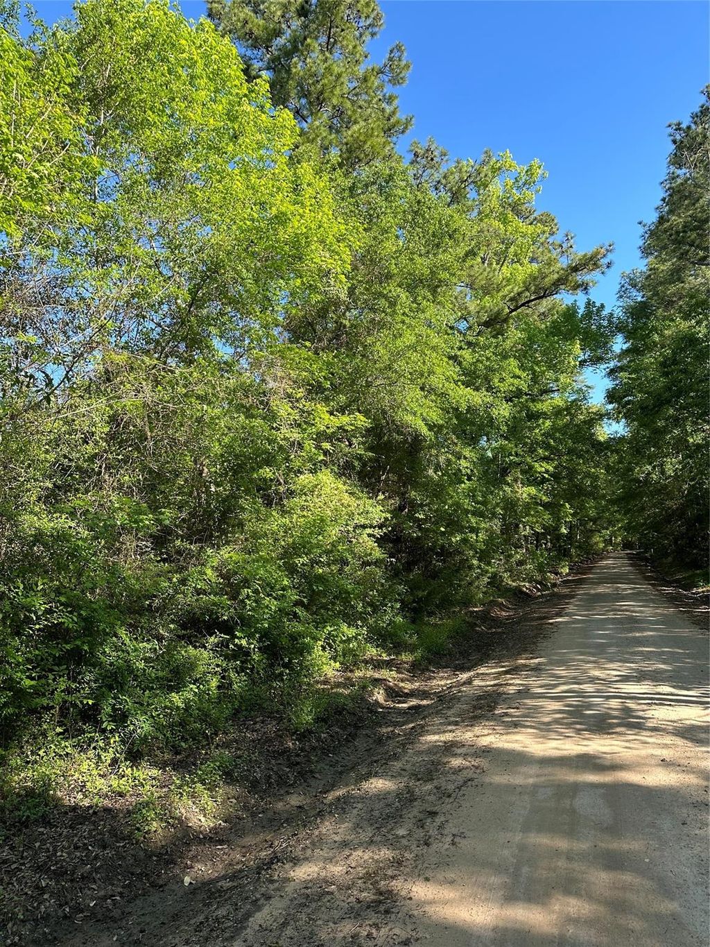 Photo of 0 Hardy Bottom Road, Huntsville, TX 77340 (MLS # 41507053)