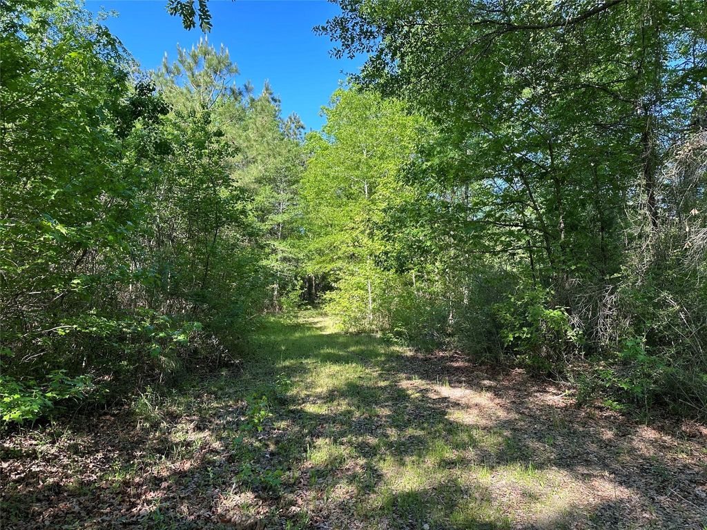 Photo of 0 Hardy Bottom Road, Huntsville, TX 77340 (MLS # 41507053)
