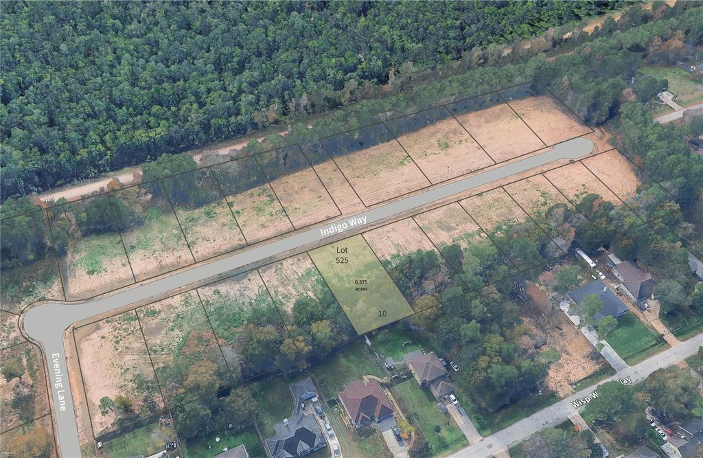 Photo of 525 Indigo Way, Porter, TX 77365 (MLS # 91152677)