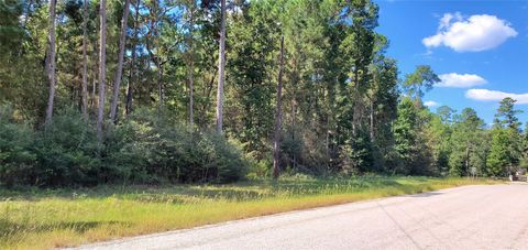 Photo of 0 Cougar Court, Huntsville, TX 77340 (MLS # 46683421)