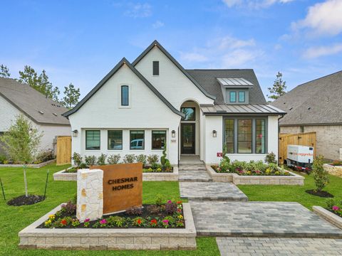 Photo of 16622 Blissful Fields Street, Hockley, TX 77447 (MLS # 15997175)