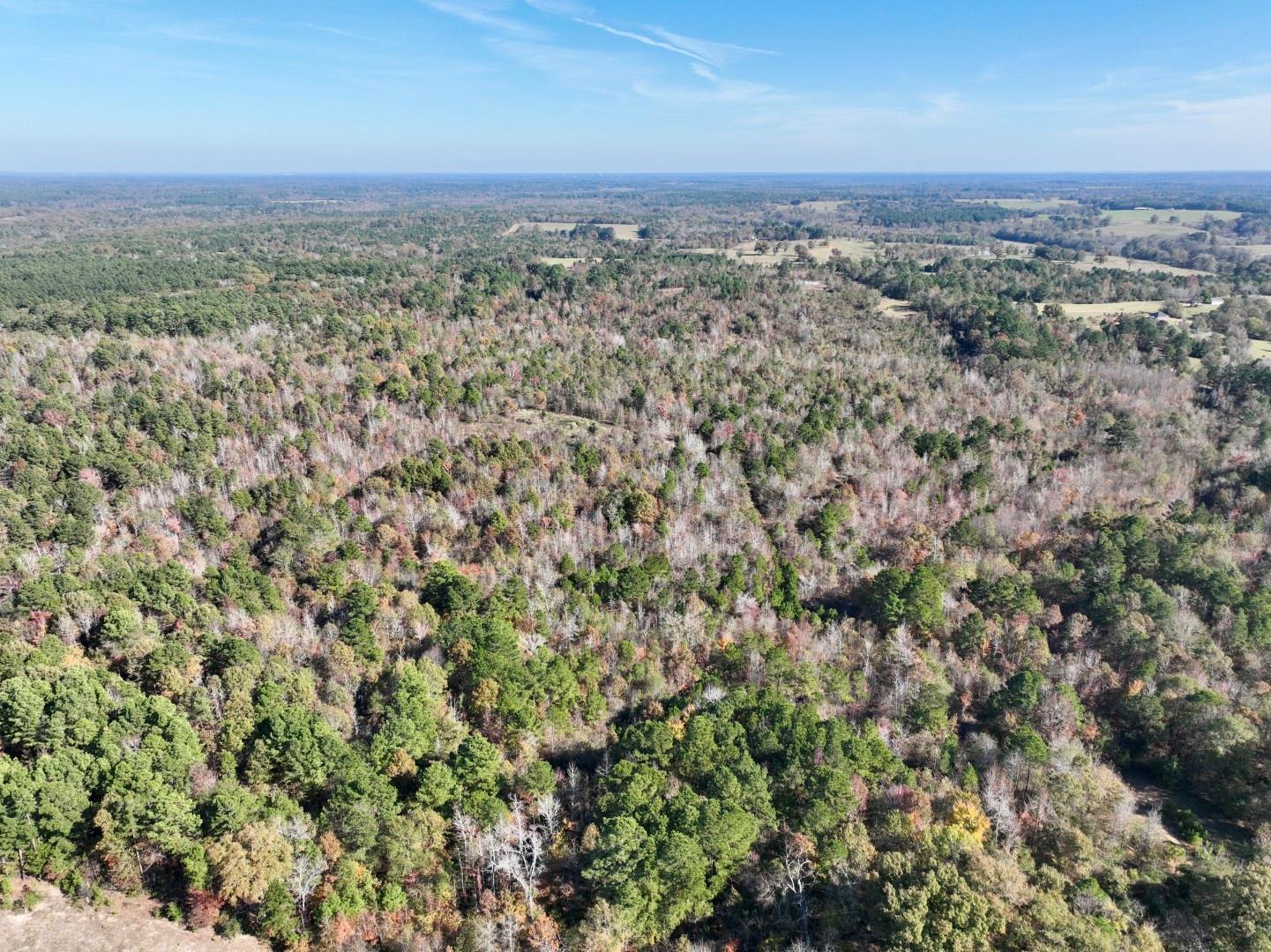21695 County Road 240