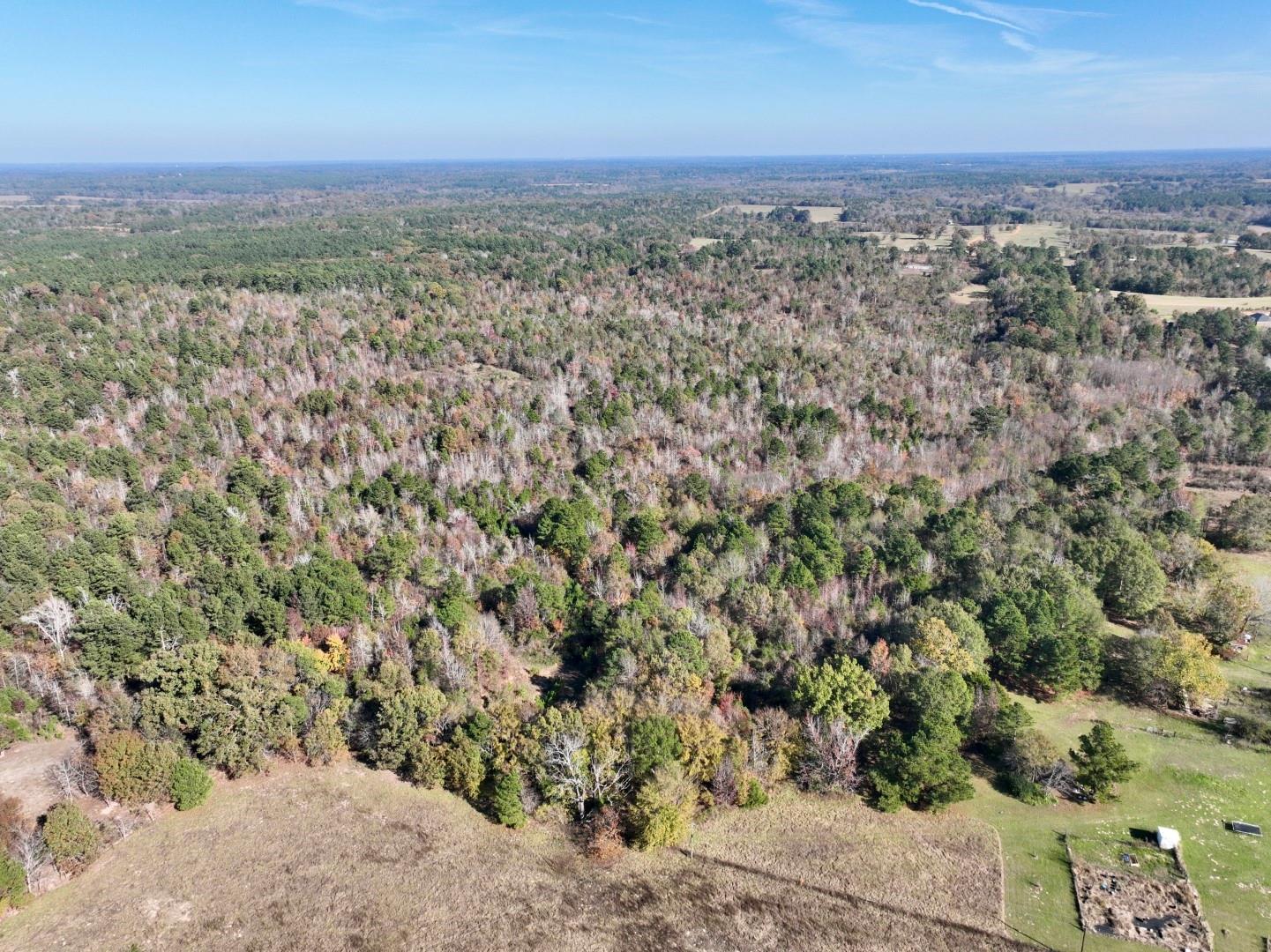 21695 County Road 240