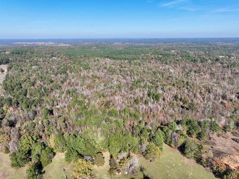 Vacant Land For Sale - 21695 County Road 240<br/> Tyler, TX 75705